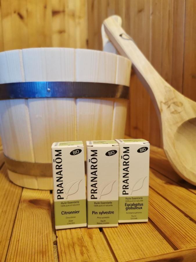 Ferienwohnung Ecrin Balneo Sauna A Thollon Exterior foto